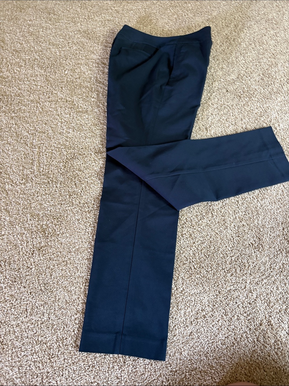 Ann Taylor Women's Dark Navy Straight-Leg Dress Pants